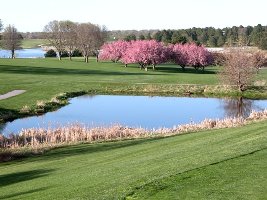 Holmes Golf Course